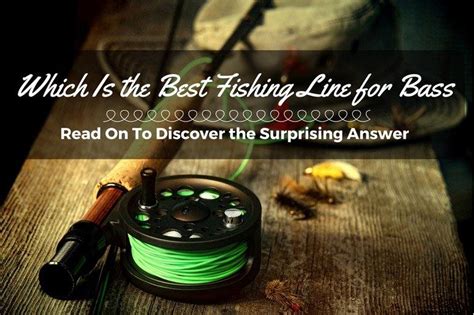 Which Is the Best Fishing Line for Bass – Read On To Discover the ...