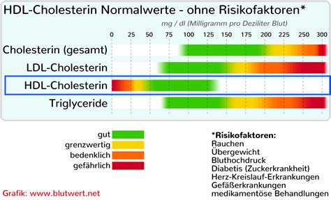 Hdl Cholesterin High Density Lipoprotein