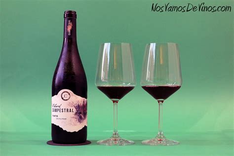 Campestral Natural Tinto 2021 Un Vino Fácil Frutal Y Sin Sulfitos