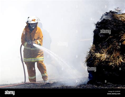 CFS members put out a fire which reached Hay bails on a property at ...