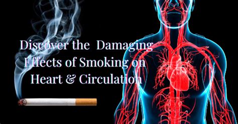 How Quitting Smoking Prevents Damage To Your Heart Circulation