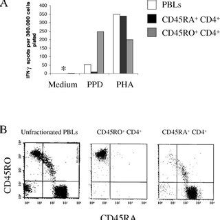 Ifn Production By Elispot Represents A Marker Of Antigen Primed T