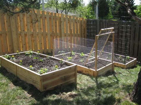 Vegetable Garden Along Fence Hawk Haven