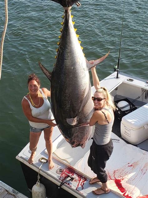 Photo Gallery Tuna Fishing Charters Gloucester Ma F V No Limits