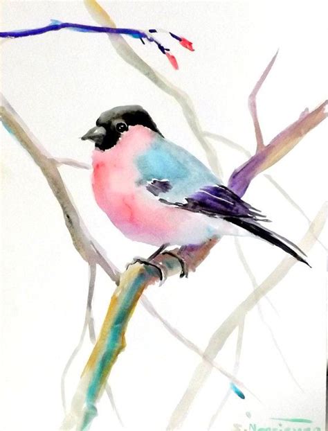 Bullfinch Original Watercolor Painting 12 X 9 In Bird Lover Birds