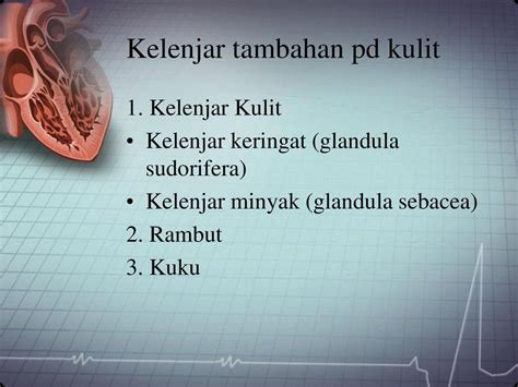 Anatomi And Fisiologi Ppt Download