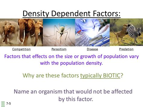 Density Independent Vs Density Dependent Factors Ppt Download