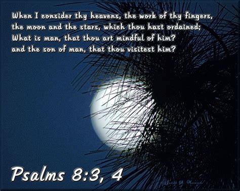 Psalm 8 3 4 Full Moon Through Pine Branch God S Word Is Truth