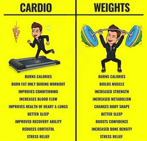 17 List Of What Are Different Types Of Cardio Exercises At Gym Burn