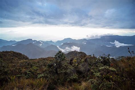 Biodiversity Conservation In The Cordillera De Col N