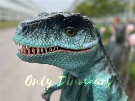 Giganotosaurus Puppet For Sale Only Dinosaurs