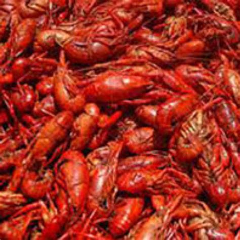 Crawfish Bait Scent Fish Attractant 100 All Natural Billyrub