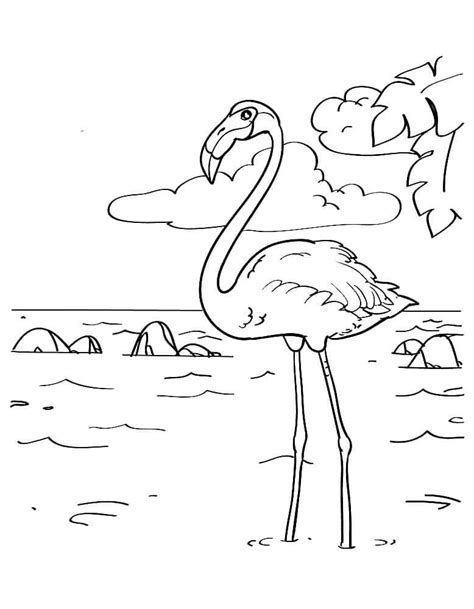 Coloriage Flamant Rose Pour Enfants T L Charger Et Imprimer Gratuit