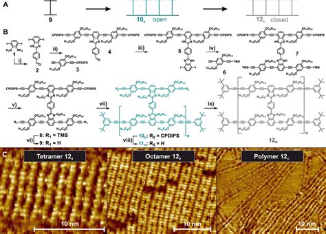 Oligomers And Polymers Of Conjugated Ladders A Schematic