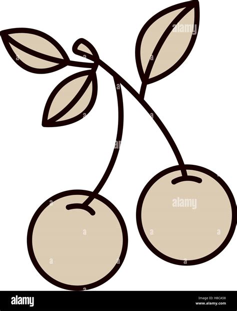 Silueta De Cherrys Monocromo Con Tallo Y Hojas De Ilustración Vectorial