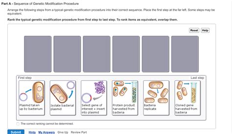 Solved: Sequence Of Genetic Modification Procedure Arrange... | Chegg.com