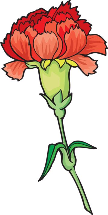 Free Carnation Flower Cliparts Download Free Carnation Flower Cliparts