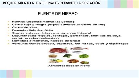 Requerimiento Nutricional Seminario Pptx