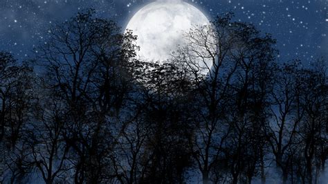 Forest Moon Night Sky With Stars