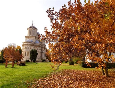 Pelerinaje Interne Luna Mai Ce Oferte A Pregătit Basilica Travel