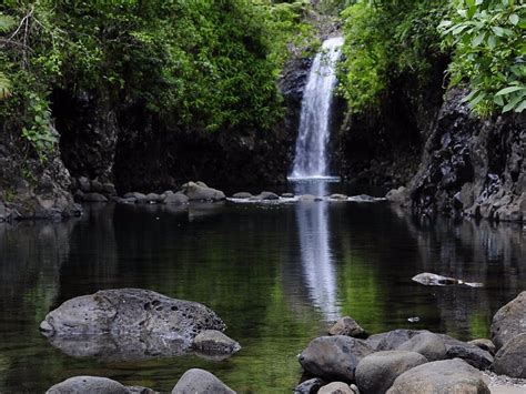 Taveuni Island 2023: Best Places to Visit - Tripadvisor