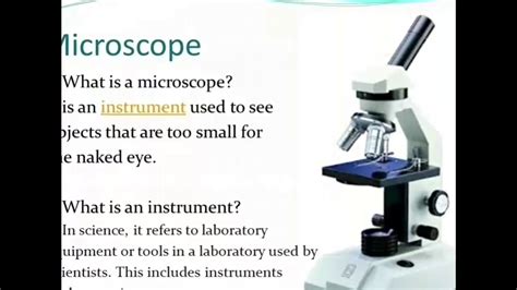 Microscope Function In Laboratory Micropedia