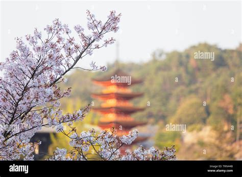 Asia Japan Honshu Hiroshima Prefecture Miyajima Island Komyoin 5