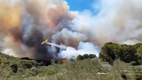 Un Incendio Forestal En El Perell Tarragona Obliga A Confinar Tres