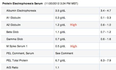 Jm S Adventure With Multiple Myeloma Lab Values From Nd Opinion Mayo