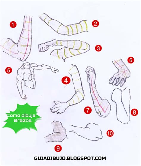 10 Formas Diferentes De Dibujar Brazos