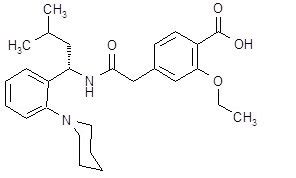 Prandin: Package Insert - Drugs.com