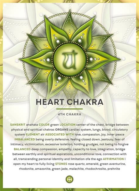 Herzchakra Anahata Chakra Symbol Infografisch Mit Detaillierten