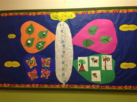 The Lifecycle Of A Butterfly Butterfly Life Cycle Bulletin Board