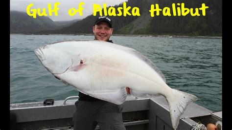 Halibut Fishing The Gulf Of Alaska Youtube