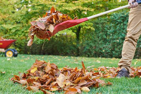 La différence entre un balai à feuilles et un balai à gazon