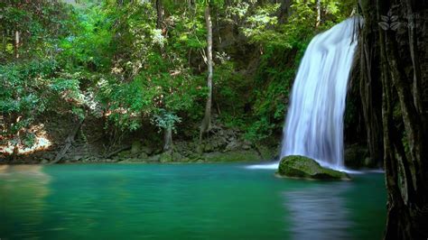 Calming Turquoise River And Waterfall Sounds Forest Nature Scenery