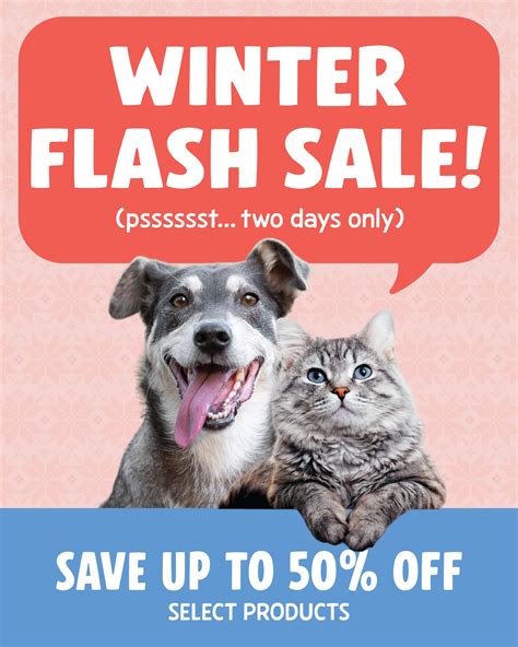 silver creek animal clinic 1