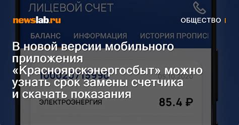 В новой версии мобильного приложения «Красноярскэнергосбыт» можно ...