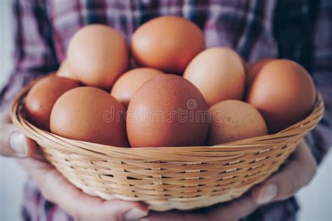 Chicken Eggs Young Woman Farmer Holding Basket With Fresh Chicken Eggs