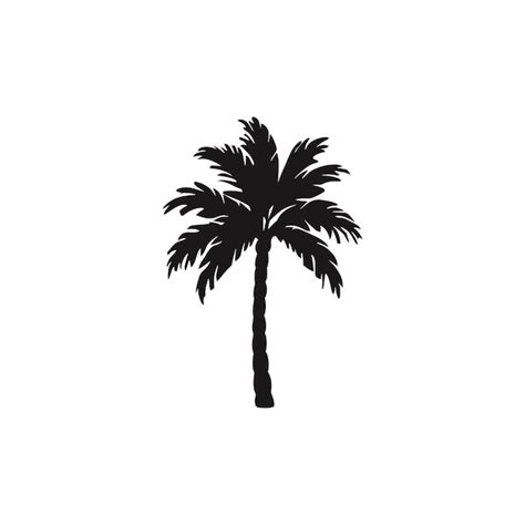 Premium Vector Silhouette Of Palm Tree