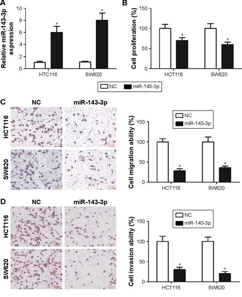 Figure From Microrna P Suppresses Tumorigenesis By Targeting