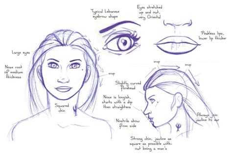 Human Anatomy Fundamentals: Advanced Facial Features | Envato Tuts+