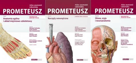 PROMETEUSZ ATLAS ANATOMIA PROMETEUSZA TOM 1 3 ANG 12611127046