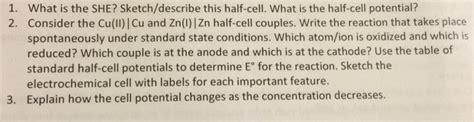 Solved What is the SHE? Sketch/describe this half-cell. What | Chegg.com