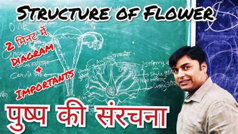 Structure Of Flower With Hots In 2 Min पुष्प की संरचना Diagram Youtube