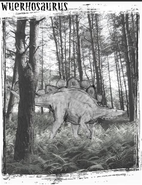 Wuerhosaurus by Ashere on DeviantArt