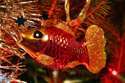 Christmas Fish Carp Stock Image Image Of Jolly Green 52330649