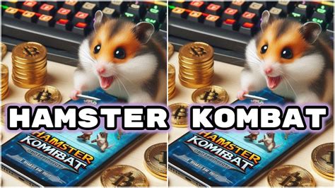 Catat Daily Cipher Answer Hamster Kombat Minggu Agustus