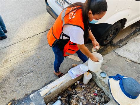 Refuerza Gobierno De Abelina Jornadas De Abatizaci N En Bellavista