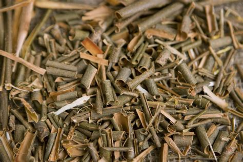 What Are White Willow Bark Benefits For Skin Care